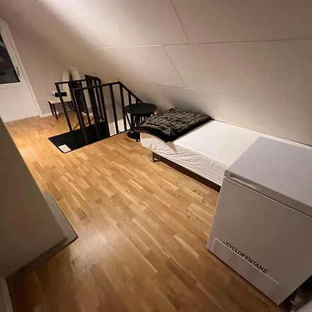 Large And Stylish 4-bedroom In The Center Senja